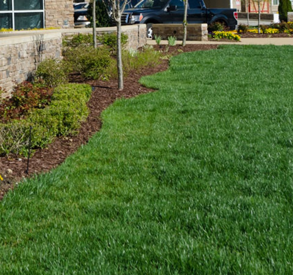 Commercial lawn maintenance with mulching